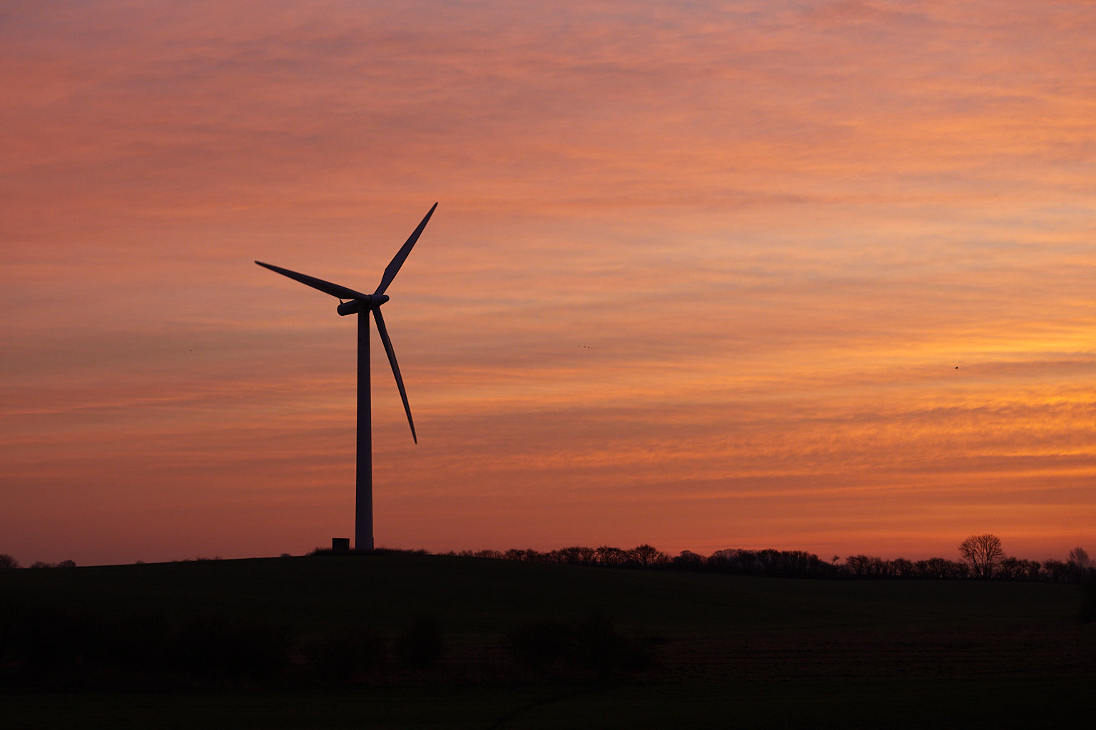 Hvornår er strømmen billigst i dag?